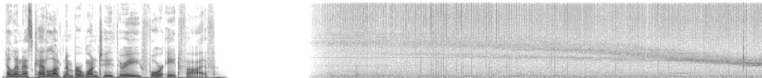 Weddell Seal - ML123485