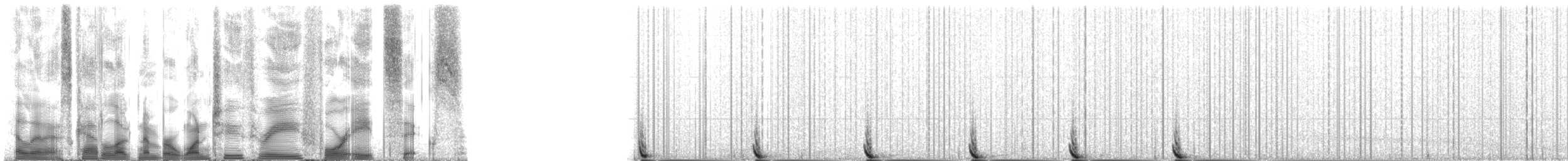 Weddell Seal - ML123486