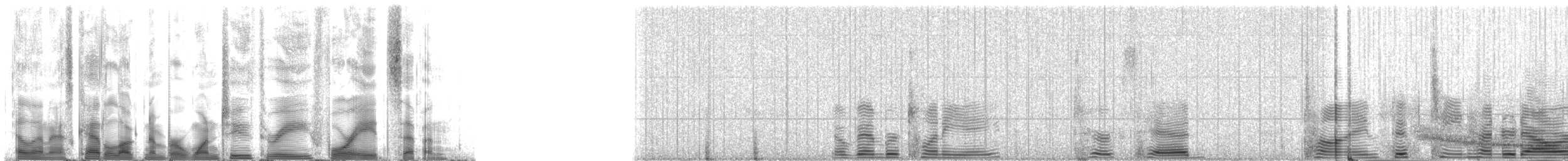 Weddell Seal - ML123487