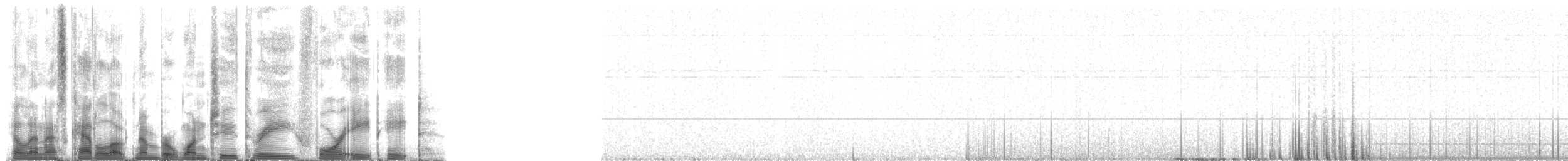 Weddell Seal - ML123488