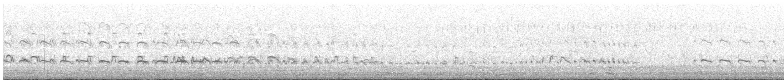 Eurasian Oystercatcher - ML123488501