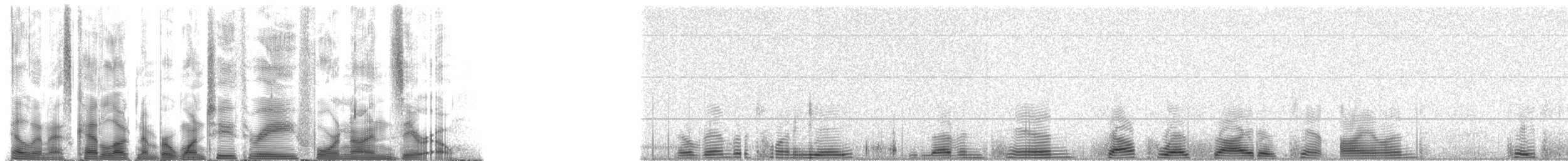 Weddell Seal - ML123490