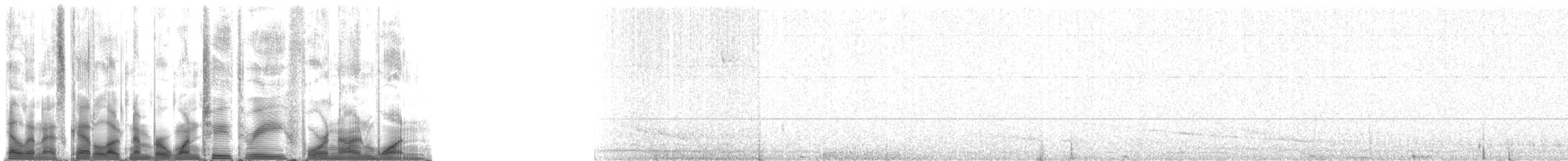 Weddell Seal - ML123491