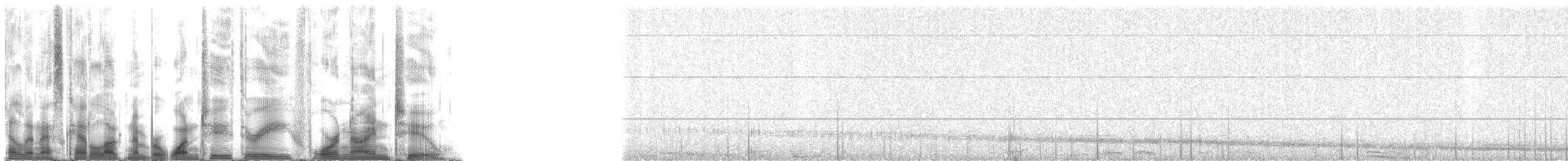 Weddell Seal - ML123492