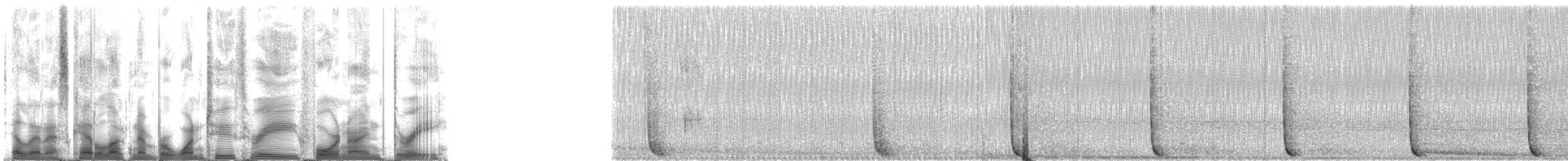 Weddell Seal - ML123493