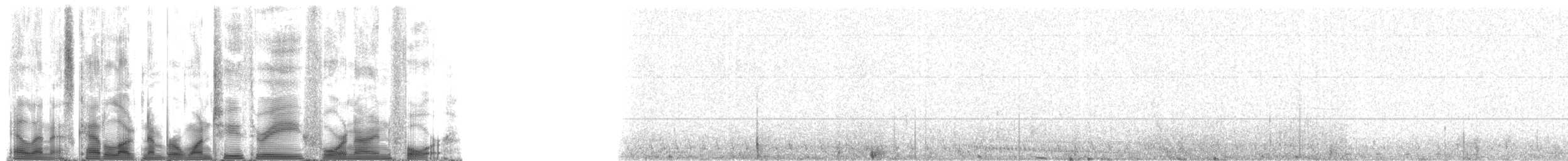 Weddell Seal - ML123494