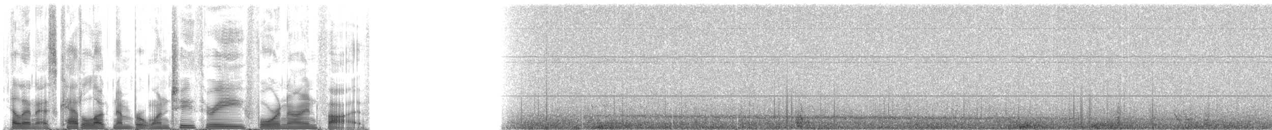 Weddell Seal - ML123495