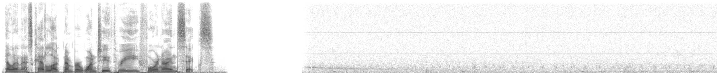 Weddell Seal - ML123496