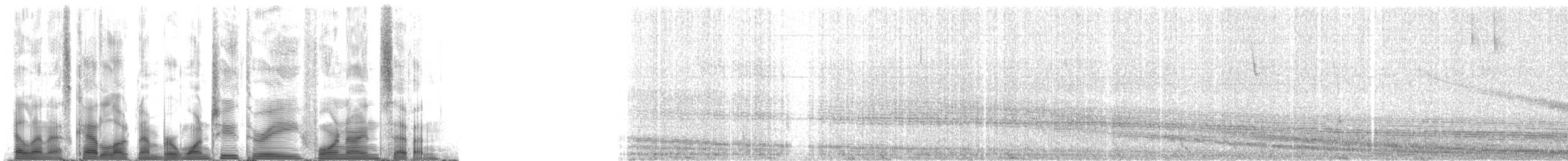 Weddell Seal - ML123497