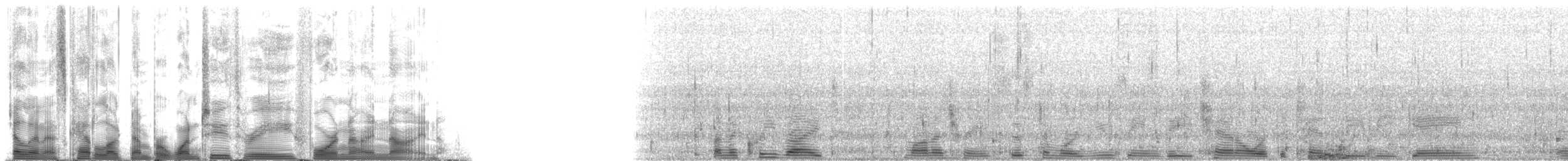 False Killer Whale - ML123499