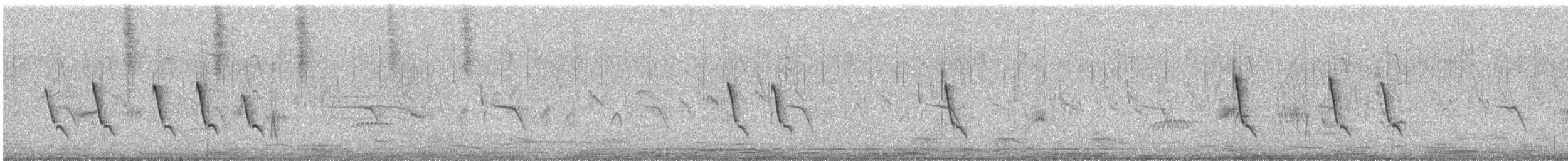 Common Tailorbird - ML123526371