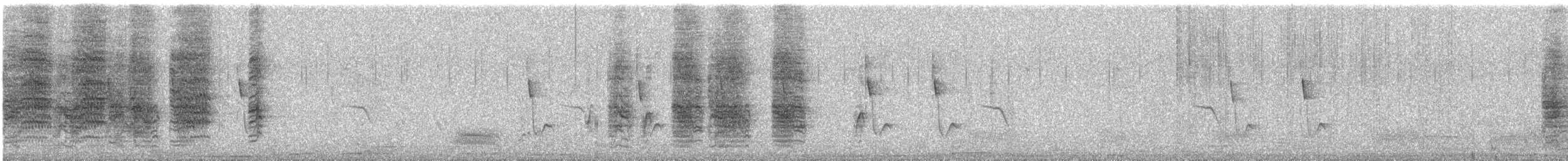 Black Drongo - ML123526521