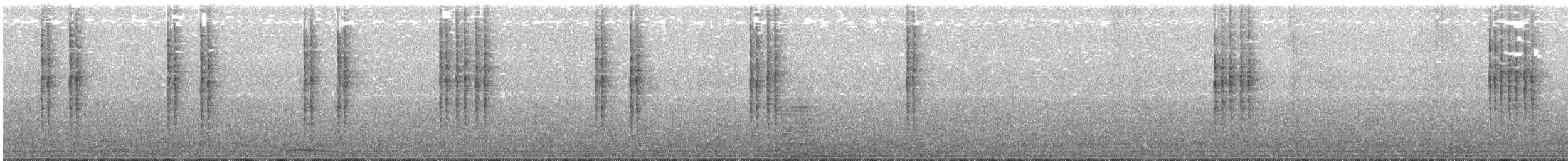 Troglodyte de Baird - ML123544761