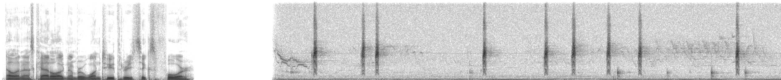 Red-winged Blackbird (Red-winged) - ML12364