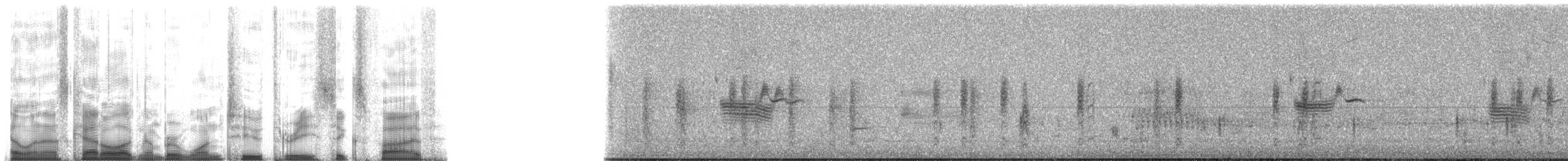 vlhovec červenokřídlý [skupina phoeniceus] - ML12365