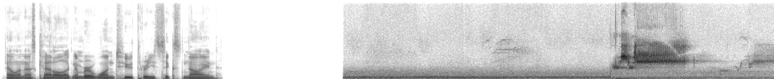 Al Kanatlı Karatavuk [phoeniceus grubu] - ML12369