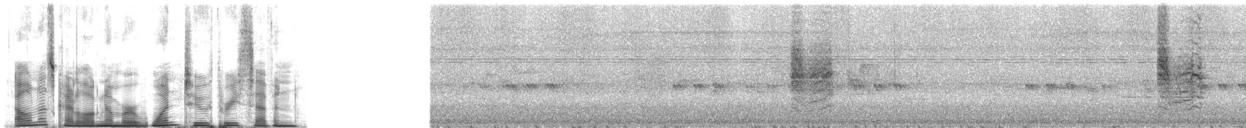 Зелоноголовая нектарница - ML1237