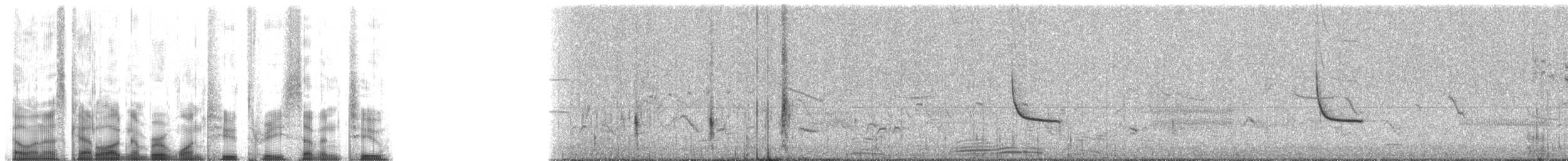 rødvingetrupial (phoeniceus gr.) - ML12372