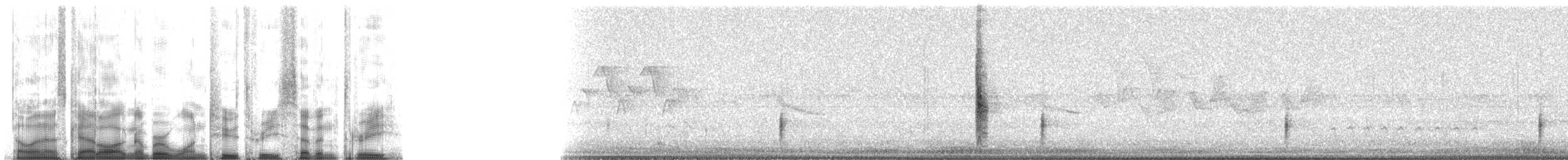 Red-winged Blackbird (Red-winged) - ML12373