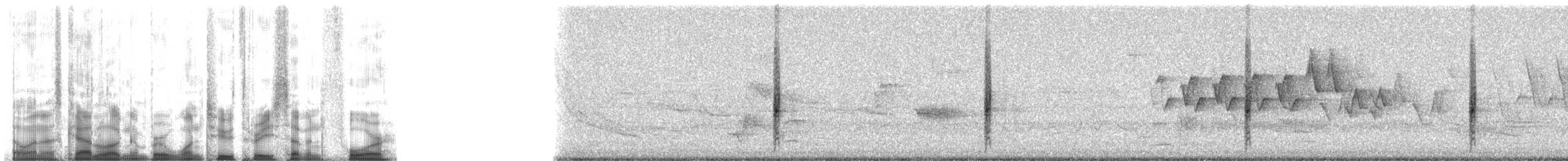 rødvingetrupial (phoeniceus gr.) - ML12374