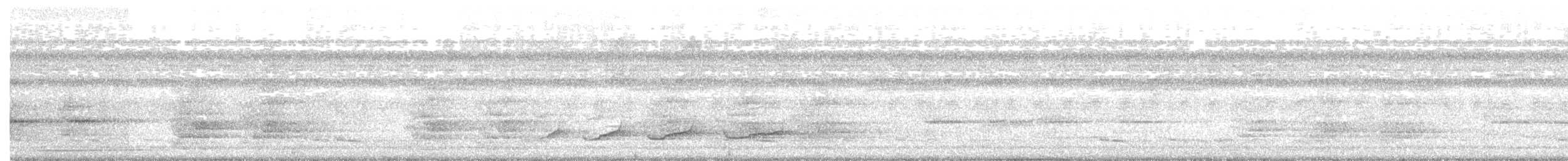Slaty-breasted Tinamou - ML123825011