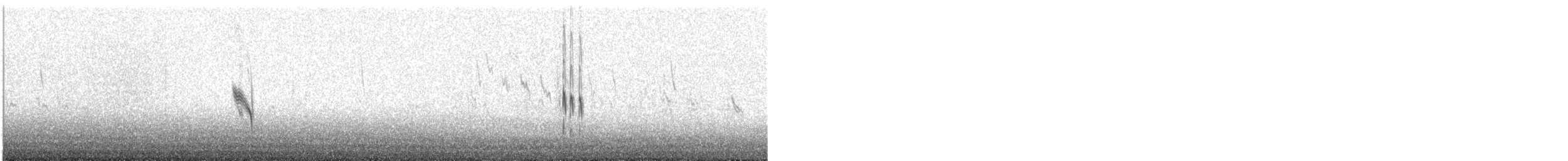 Plectrophane lapon - ML123851221