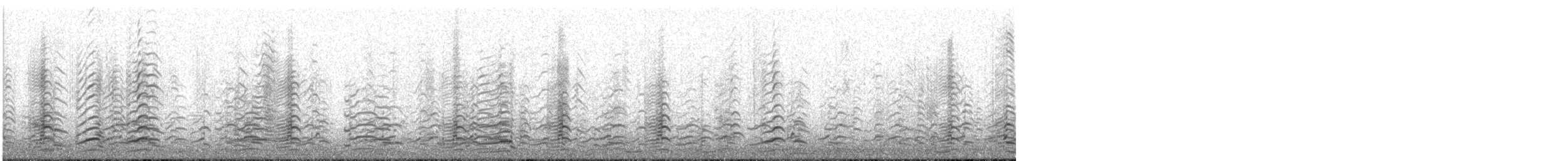 Zwergkanadagans (leucopareia) - ML123851451