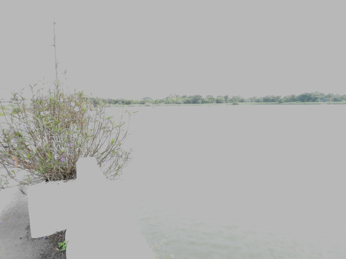 Дорнын хүүрзгэнэ - ML124050541