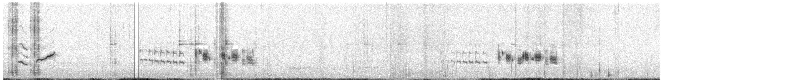 Kutturlio arrunta (magrebtarra) - ML124213651