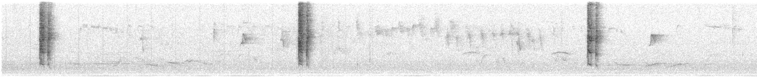 New Holland Honeyeater - ML124244751