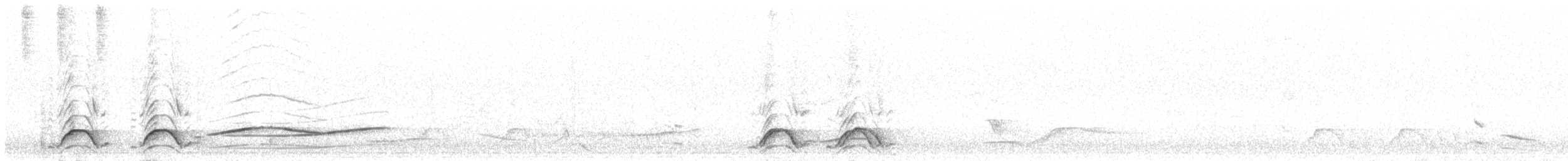 Pied Currawong - ML124244801