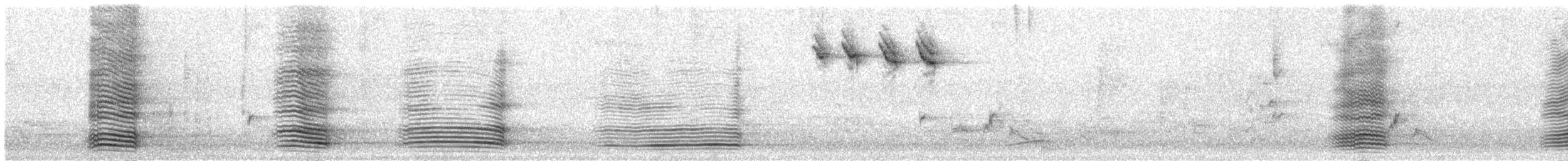 Australian Raven - ML124244871