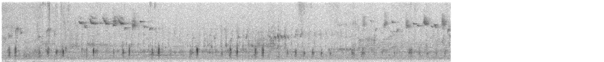 Pacific Black Duck - ML124245021