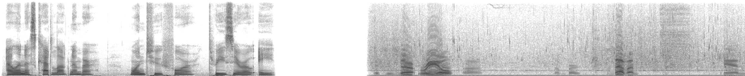 Long-finned Pilot Whale - ML124308