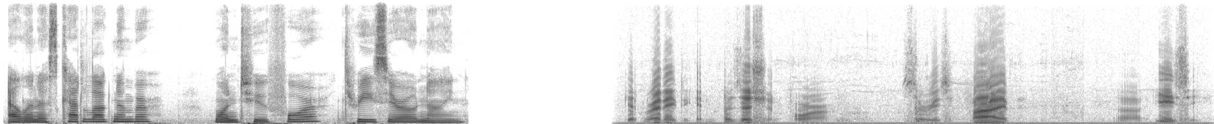 Long-finned Pilot Whale - ML124309