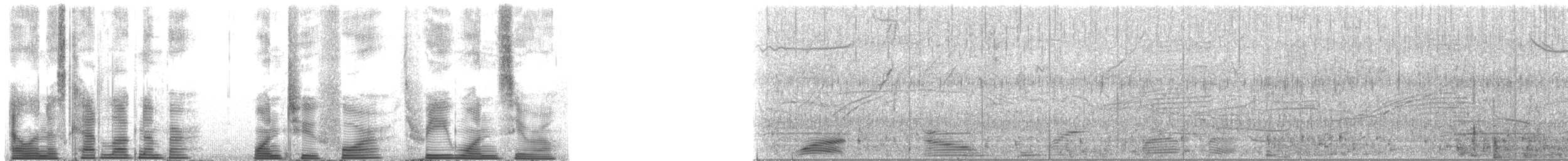 Long-finned Pilot Whale - ML124310