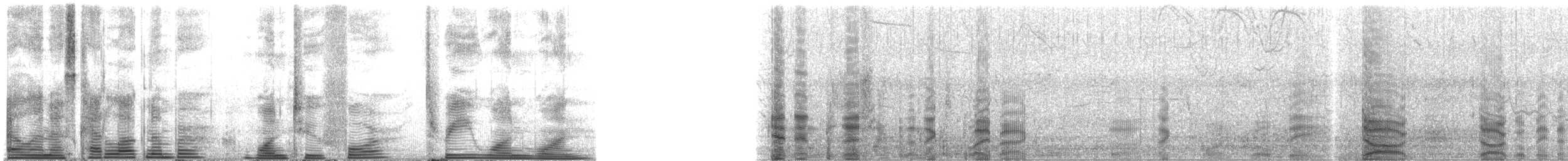 Long-finned Pilot Whale - ML124311