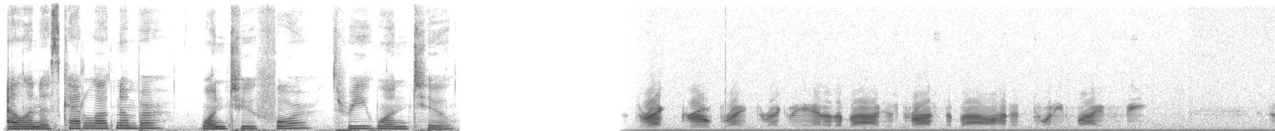 Long-finned Pilot Whale - ML124312