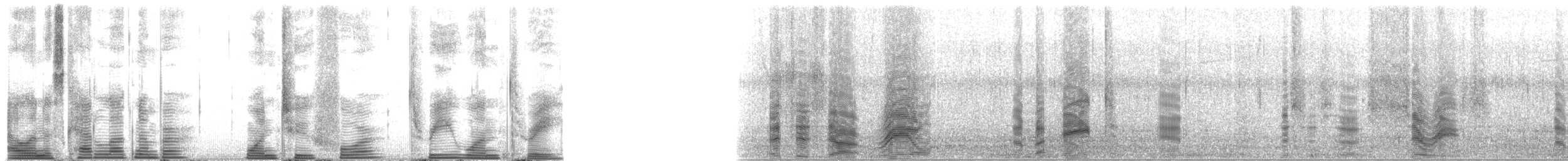 Long-finned Pilot Whale - ML124313