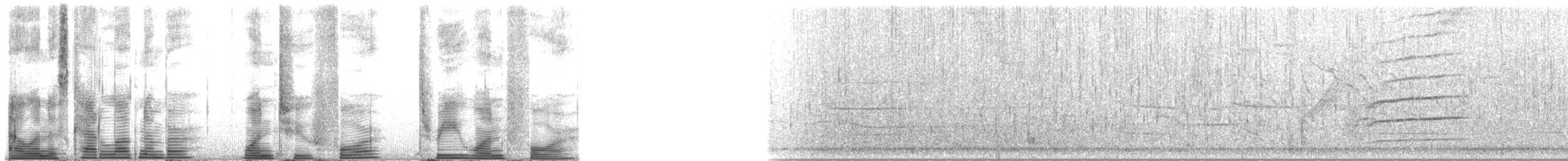 Long-finned Pilot Whale - ML124314