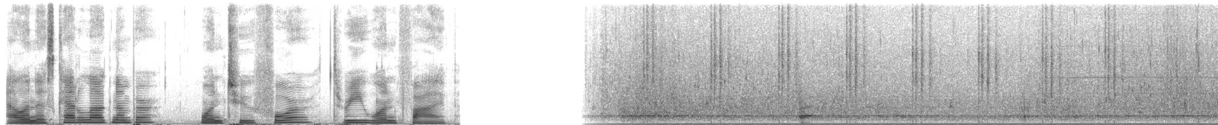 Sperm Whale - ML124315