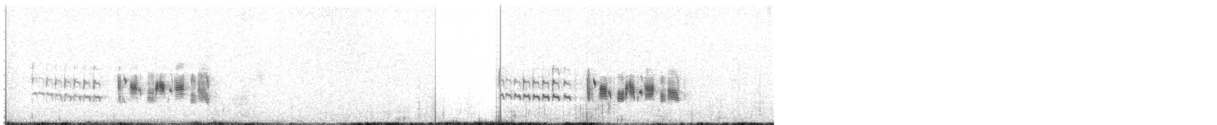 Kutturlio arrunta (magrebtarra) - ML124342701