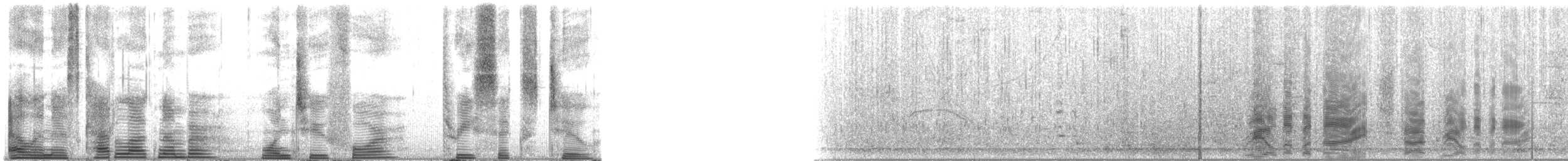 Long-finned Pilot Whale - ML124362