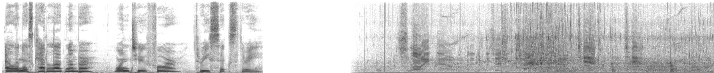 Long-finned Pilot Whale - ML124363