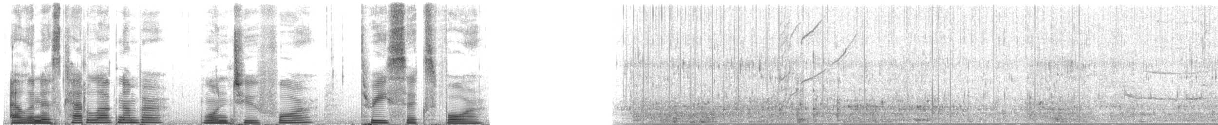 Long-finned Pilot Whale - ML124364