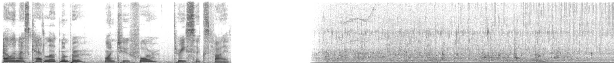 Long-finned Pilot Whale - ML124365