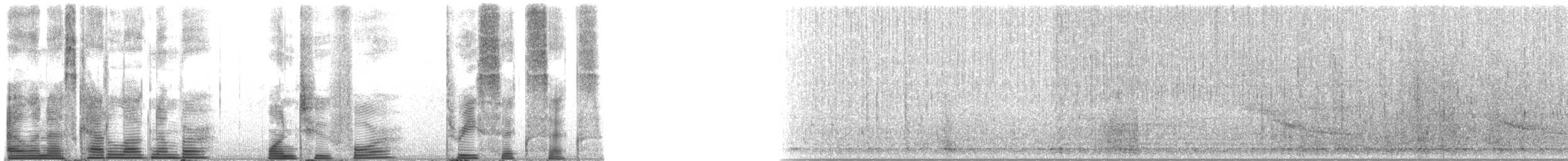 Long-finned Pilot Whale - ML124366