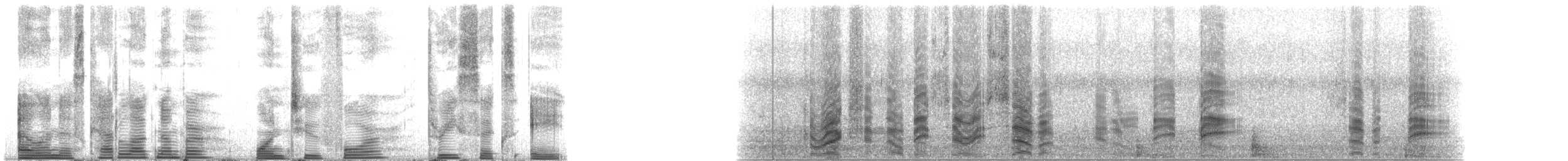 Long-finned Pilot Whale - ML124368