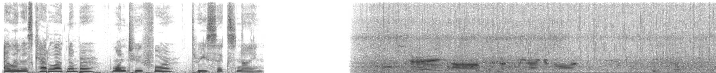 Long-finned Pilot Whale - ML124369