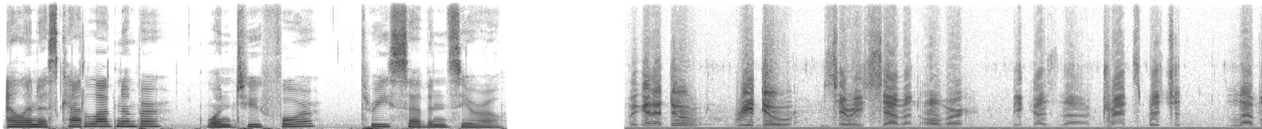 Long-finned Pilot Whale - ML124370